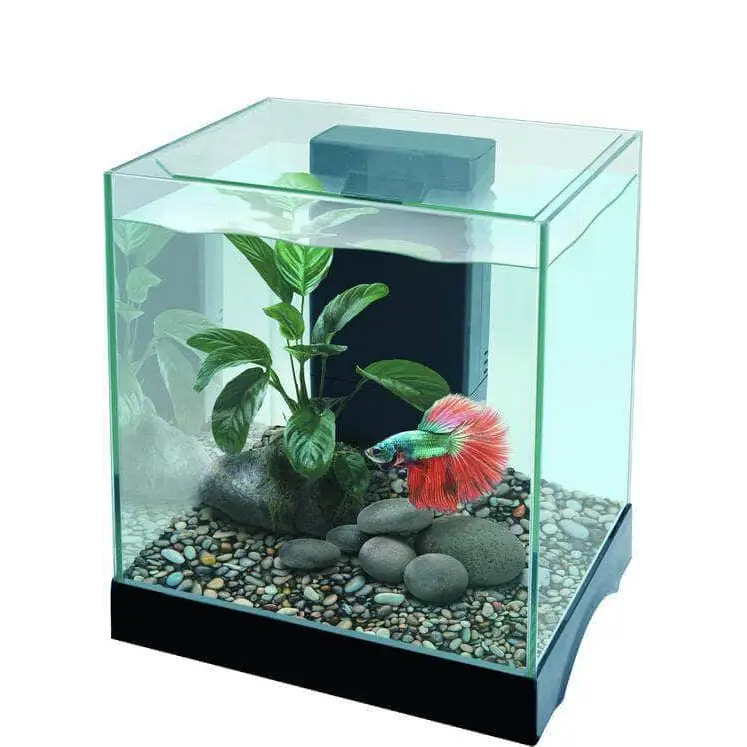 Pisces Aquatics Glass Betta Tank