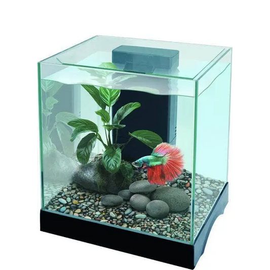 Pisces Aquatics Glass Betta Tank