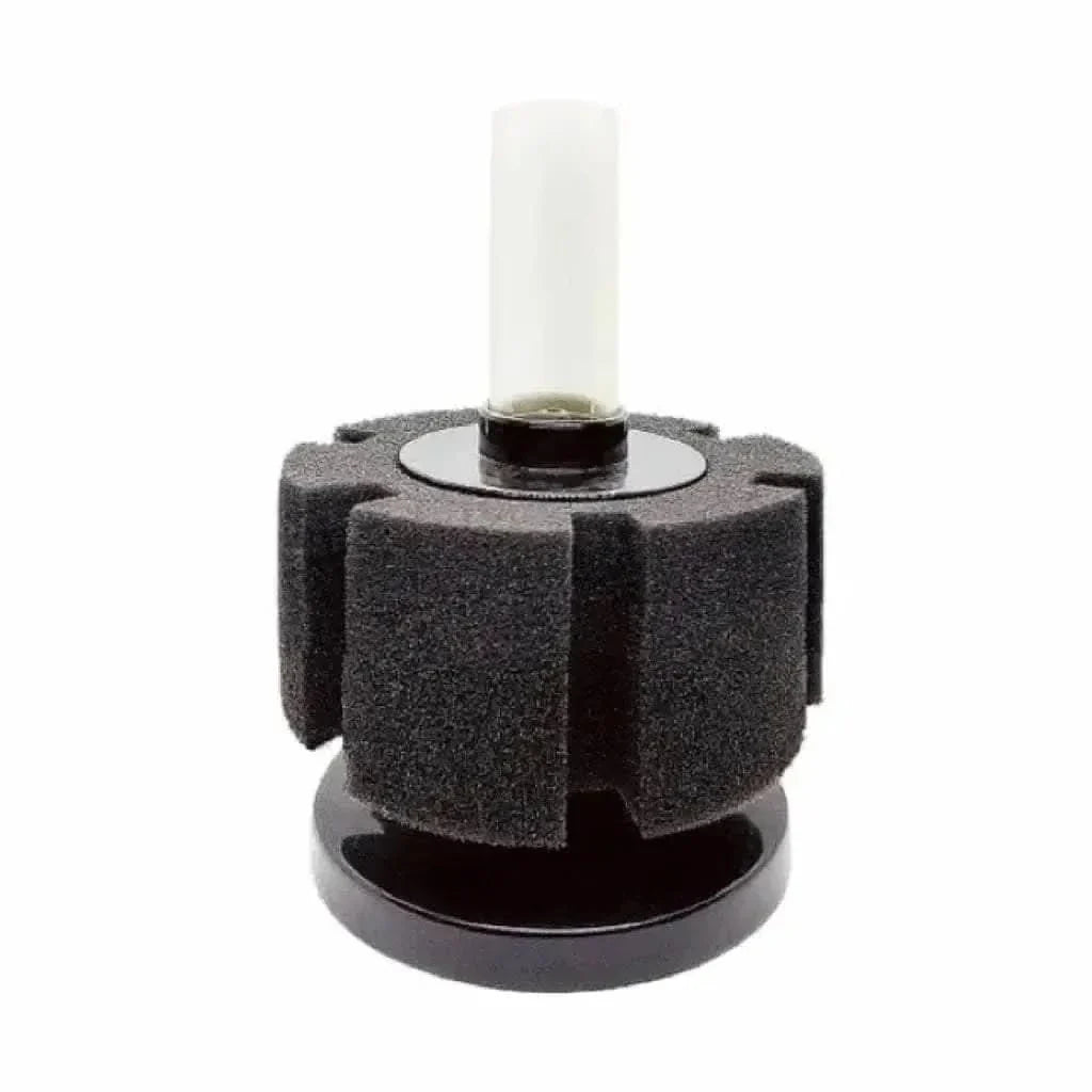 Black sponge filter with clear tube.