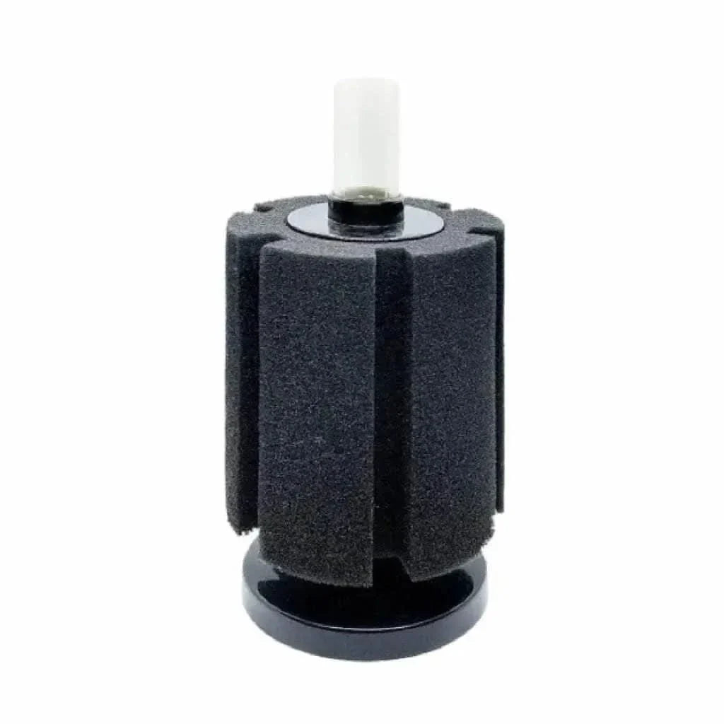 Black sponge filter with white tube.
