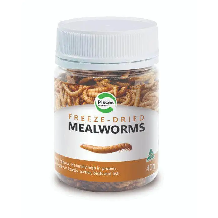 Pisces Enterprises Freezedried Mealworms Jar 40G
