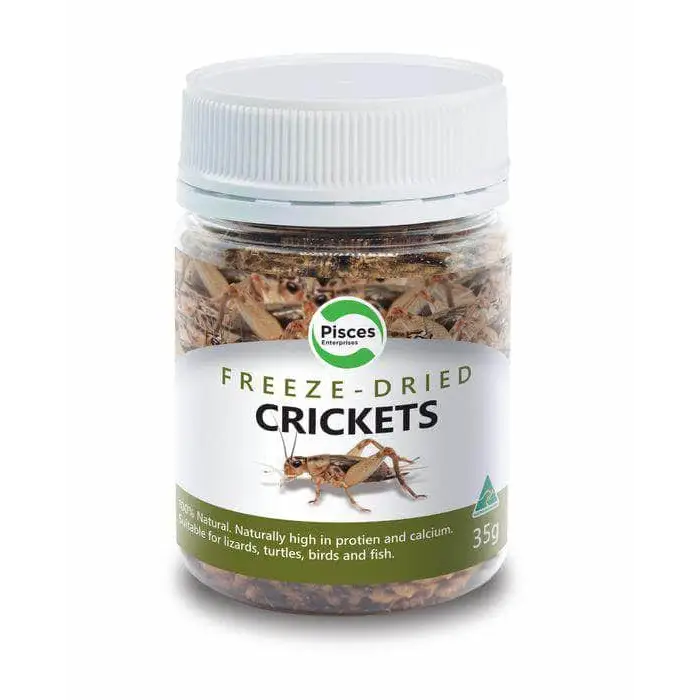Pisces Enterprises Freezedried Crickets Jar 35G