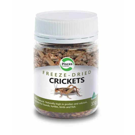 Pisces Enterprises Freezedried Crickets Jar 35G