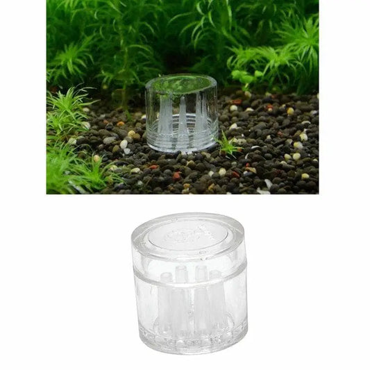 Planaria Worm Leech Catcher Trap