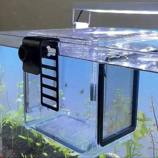 Premium Breeder Box For Fish Shrimps