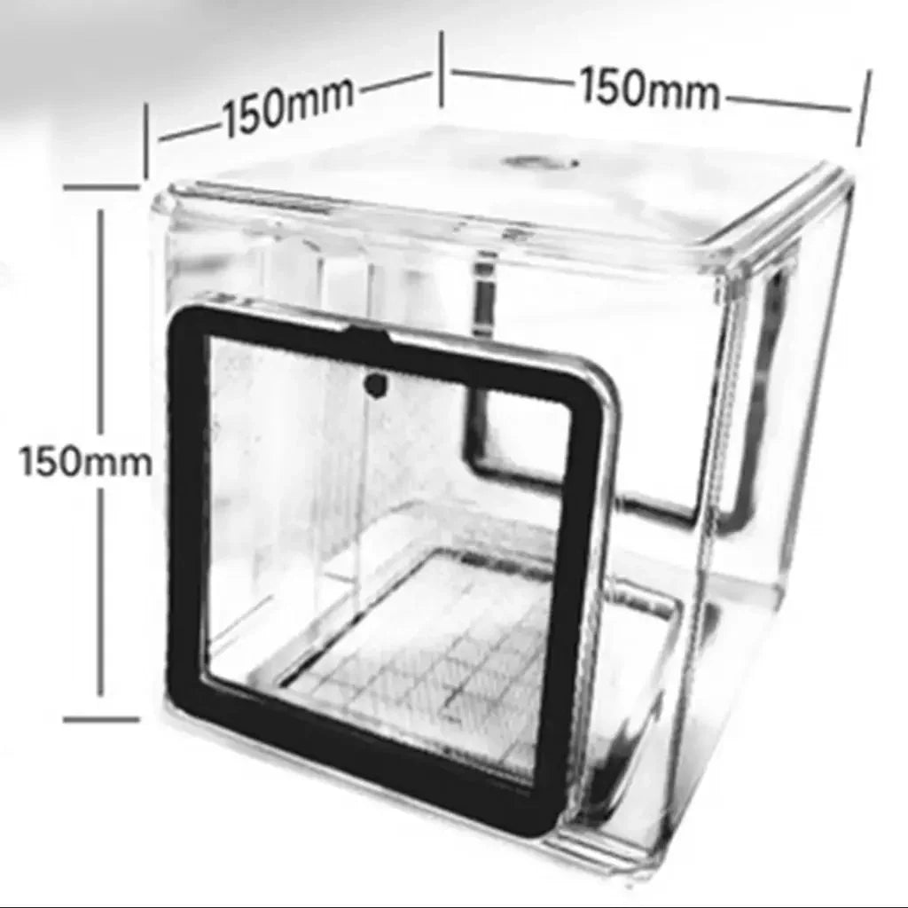 Premium Breeder Box For Fish Shrimps