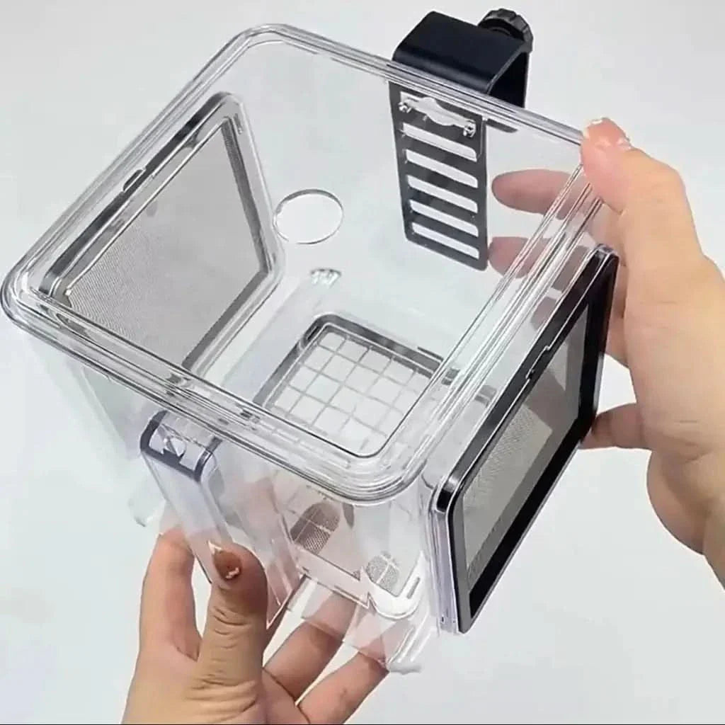 Clear plastic aquarium breeder box.