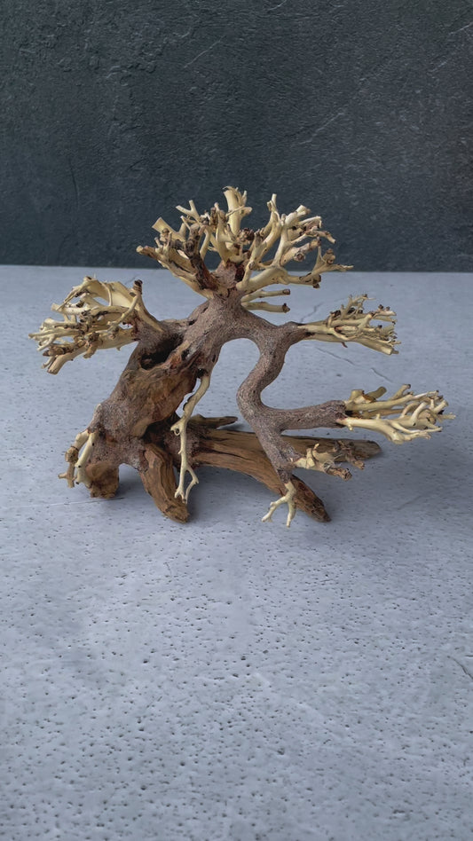 Aquascaping Handmade Aquatic Bonsai Driftwood Tree 20cm(L)x15cm(H) ABQ23