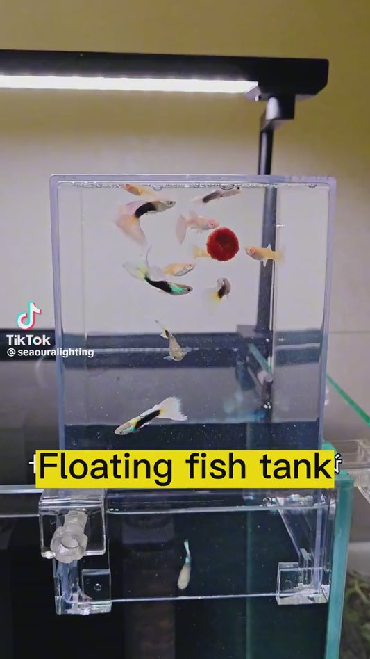 Negative Pressure Fish Tank