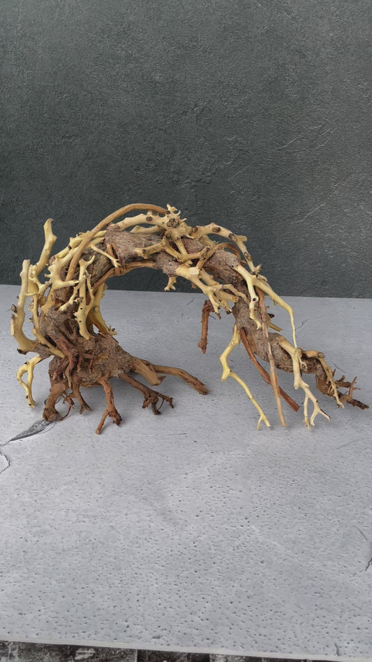 Aquascaping Handmade Aquatic Bonsai Driftwood Tree 25cm(L)x20cm(H) ABQ76
