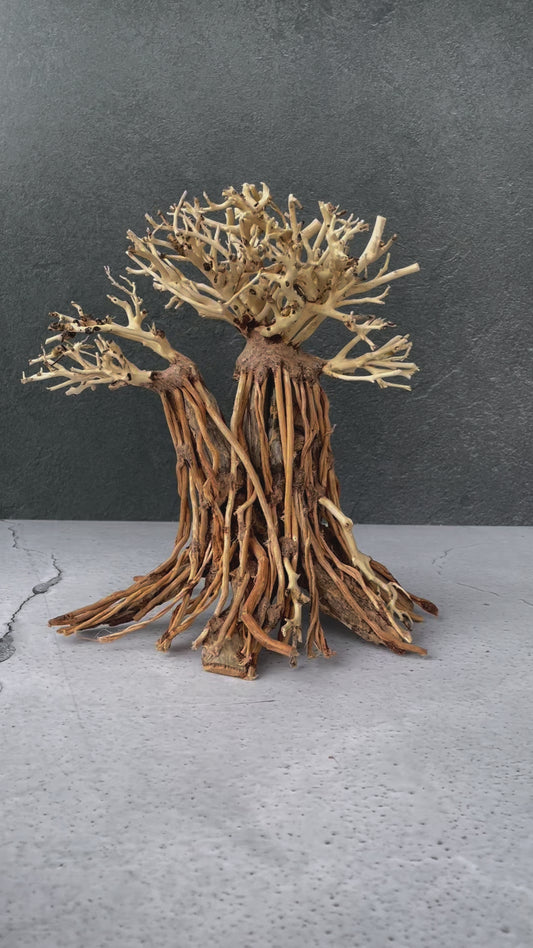 Aquascaping Handmade Aquatic Bonsai Driftwood Tree 25cm(L)x20cm(H) ABQ127