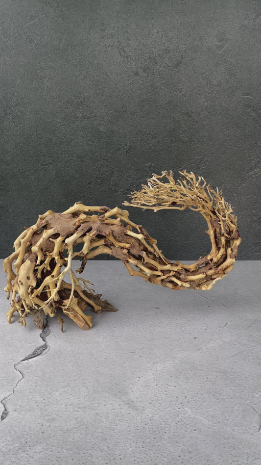 Aquascaping Handmade Aquatic Bonsai Driftwood Tree 35cm(L)x25cm(H) ABQ67