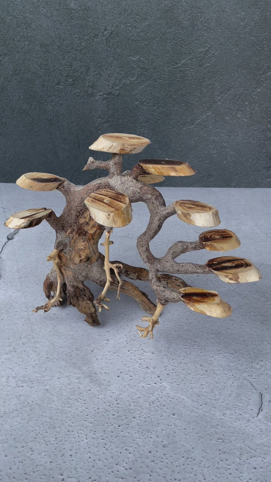 Aquascaping Handmade Aquatic Bonsai Driftwood Tree 25cm(L)x20cm(H) ABQ58