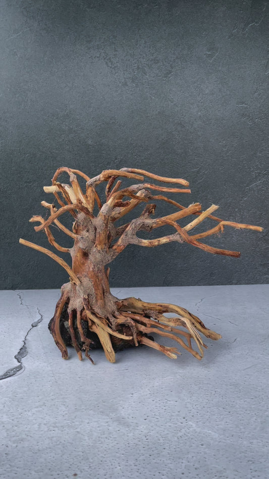 Aquascaping Handmade Aquatic Bonsai Driftwood Tree 30cm(L)x25cm(H) ABQ131