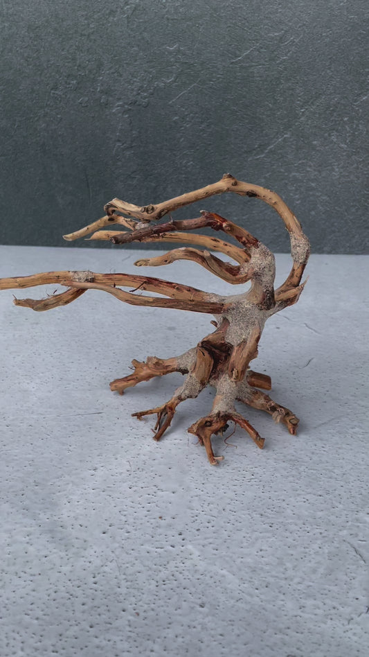 Aquascaping Handmade Aquatic Bonsai Driftwood Tree 20cm(L)x15cm(H) ABQ24