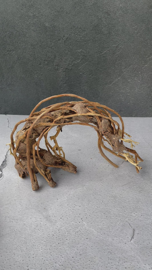Aquascaping Handmade Aquatic Bonsai Driftwood Tree 25cm(L)x20cm(H) ABQ92