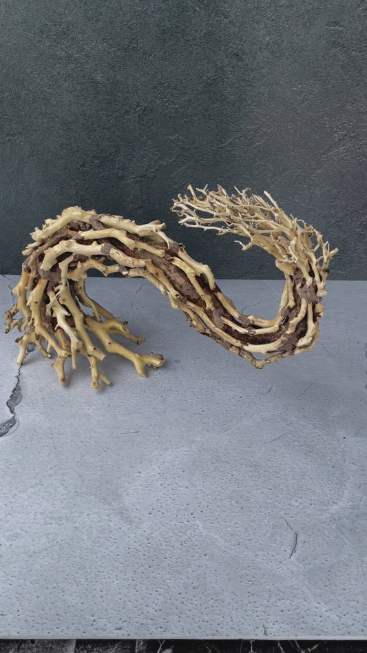 Aquascaping Handmade Aquatic Bonsai Driftwood Tree 35cm(L)x25cm(H) ABQ95