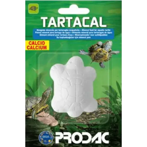 Turtle-shaped calcium supplement.