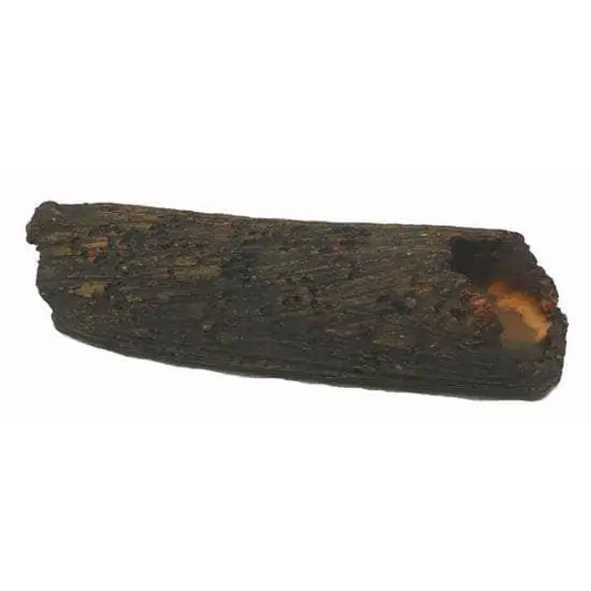 S. Catfish PLECO Log Size: 18x5x5cm
