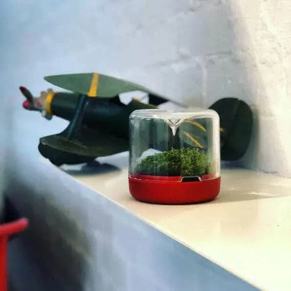 Red and clear terrarium with moss.