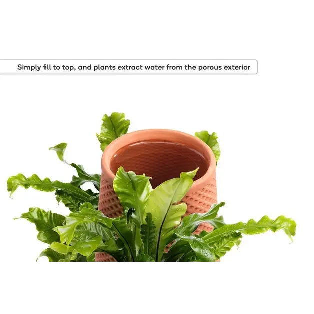 Self-Watering Terracotta Ceramic Planter