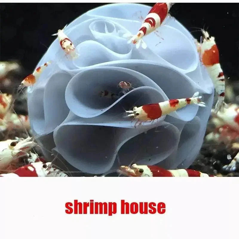 Shrimp Baby Shelter ( Pack of 10 )