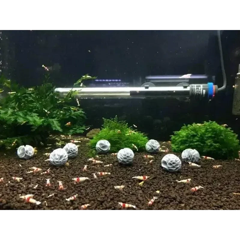 Aquarium with shrimp and decorative balls.