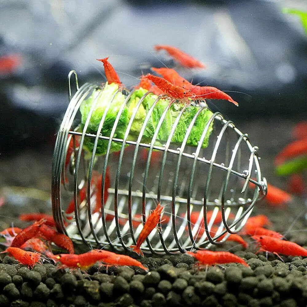Shrimp Bait Feeder-ABQUATICS