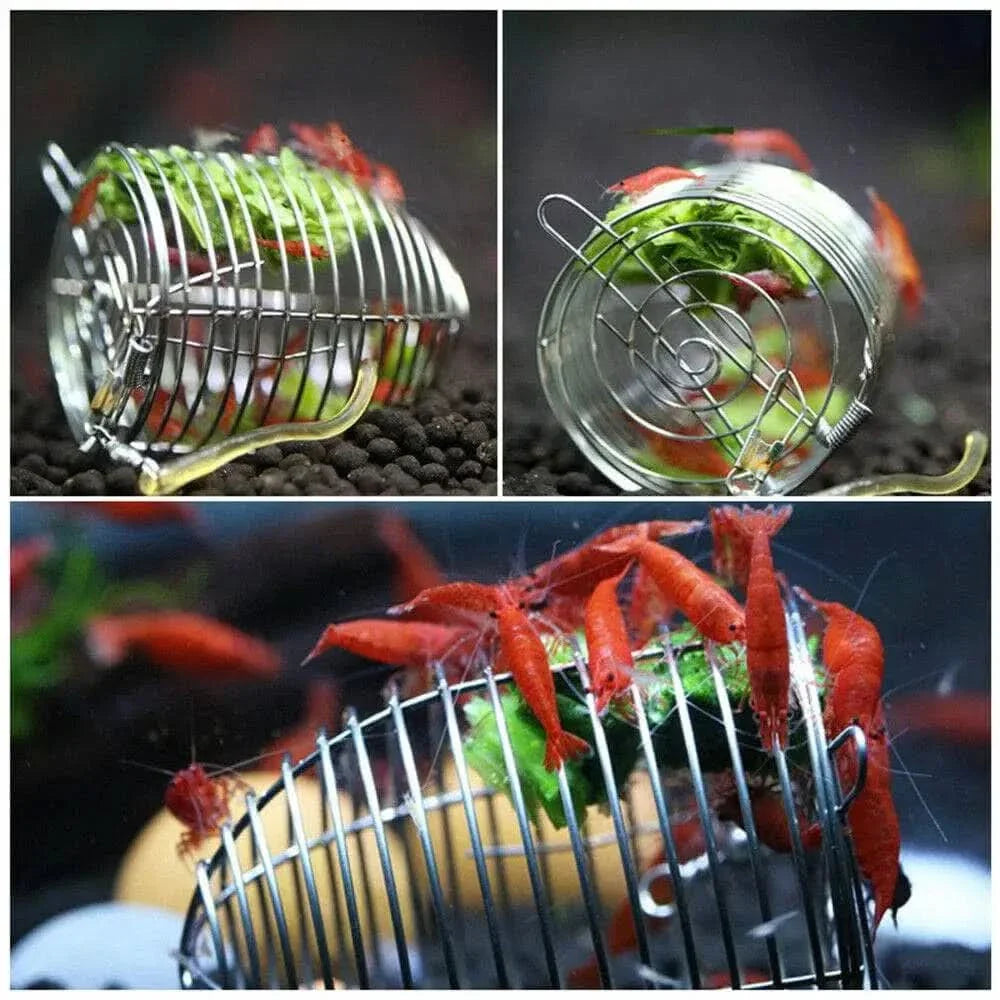 Shrimp feeding cage with red shrimp.