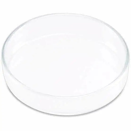 Shrimp Feeding Dish 9CM