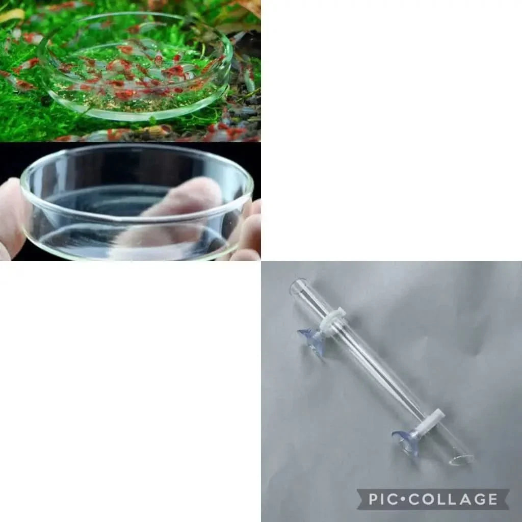 Aquarium feeding dishes and tube.