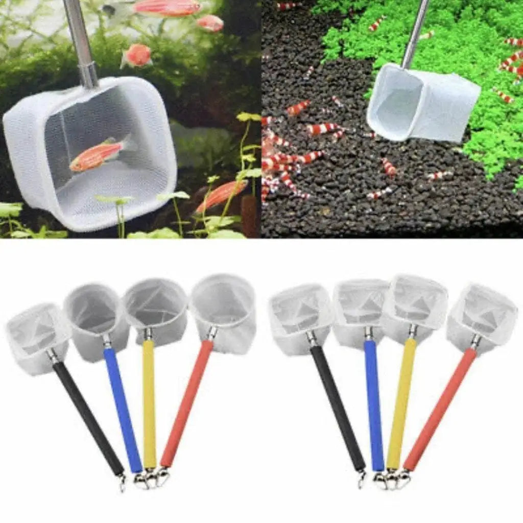 Shrimping Essential Pack