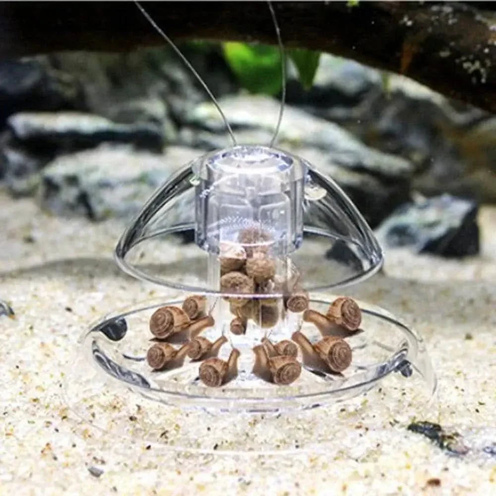 Clear aquarium snail feeder.