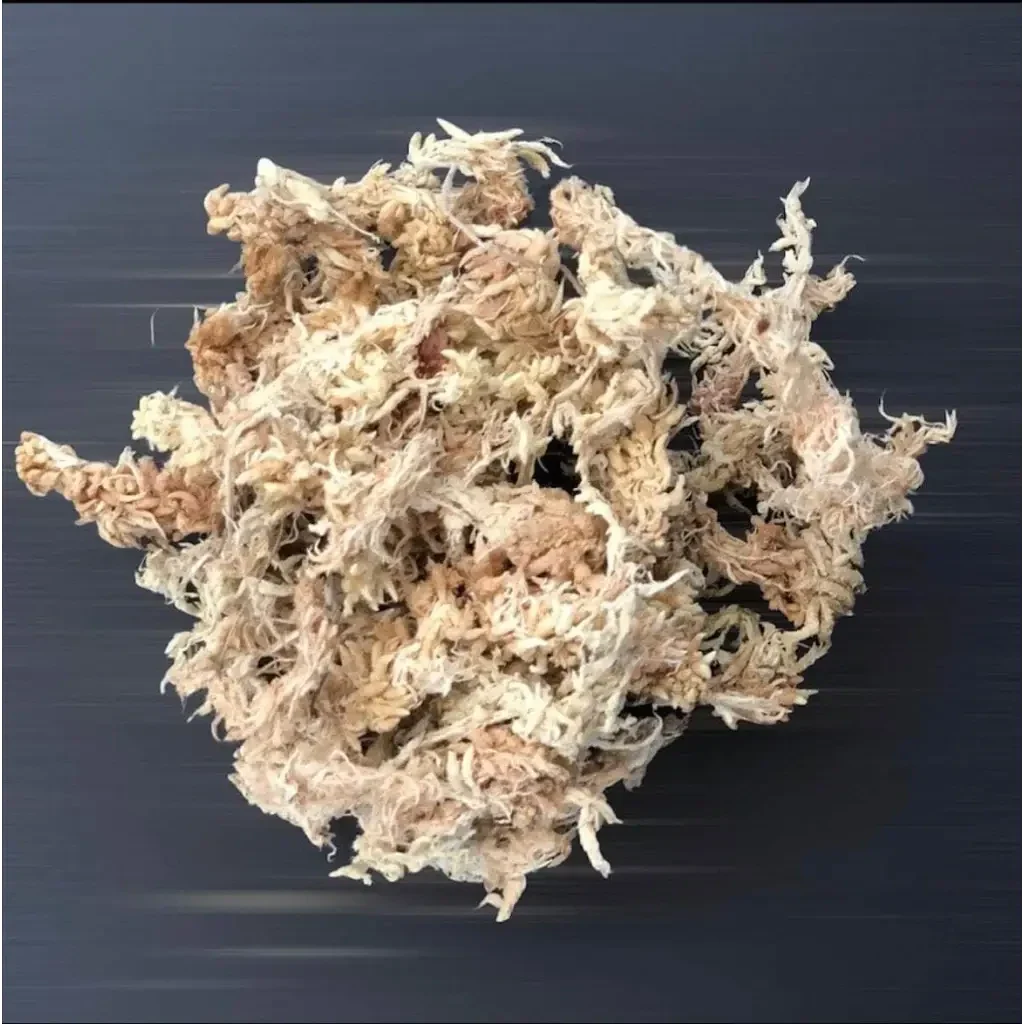 Dried sphagnum moss.