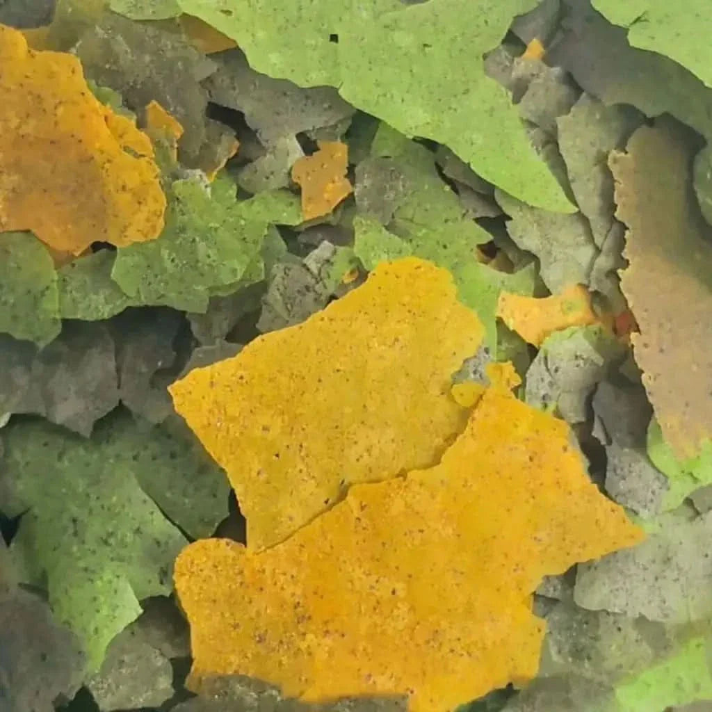 Colorful fish food flakes.