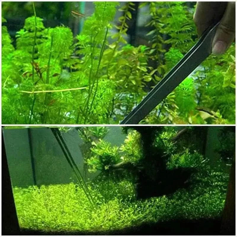 Aquarium plant tweezers.