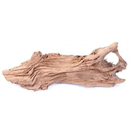 Weathered piece of driftwood.