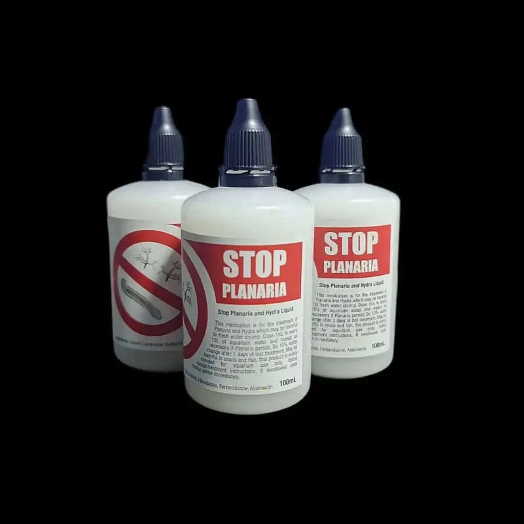 Three bottles of planaria treatment.