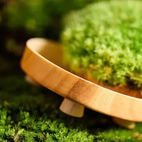 Round wooden bowl with moss.