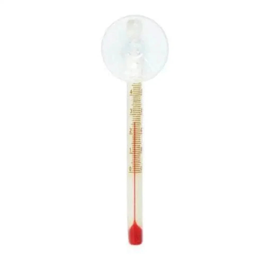 Glass thermometer with red liquid.