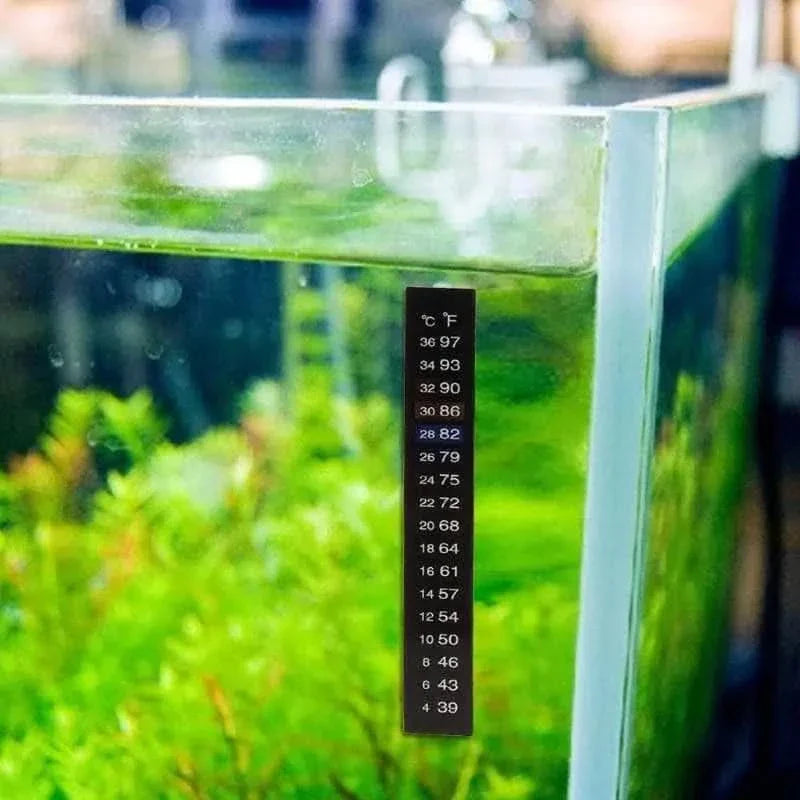 Aquarium thermometer strip.