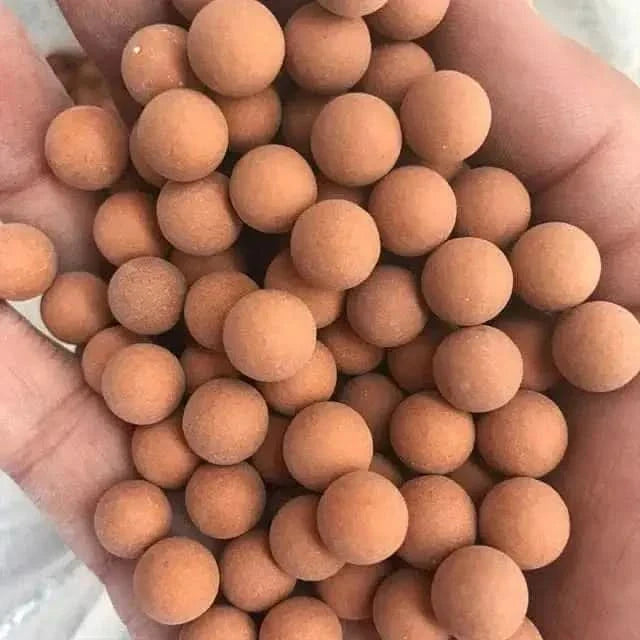 Round, tan, clay-like balls.