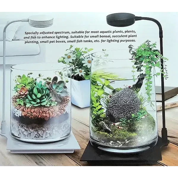 Two plant terrariums with adjustable lighting.