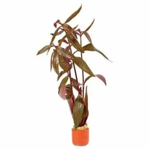 Potted artificial plant with reddish-brown leaves.