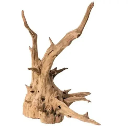 Weathered driftwood sculpture.