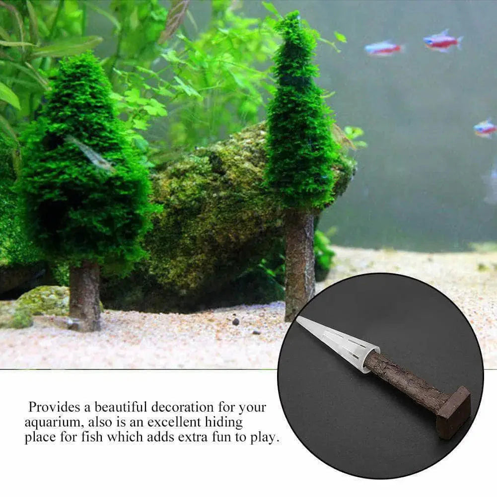 X’mas Moss Tree-ABQUATICS