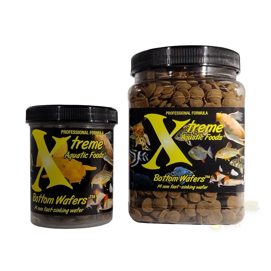 Two containers of Xtreme Aquatic Foods Bottom Wafers.