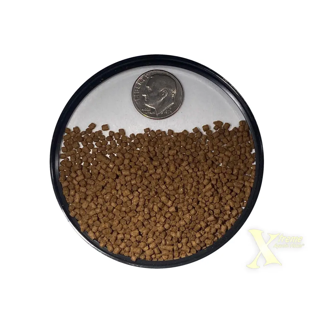 Round dish of brown pellets with a dime.