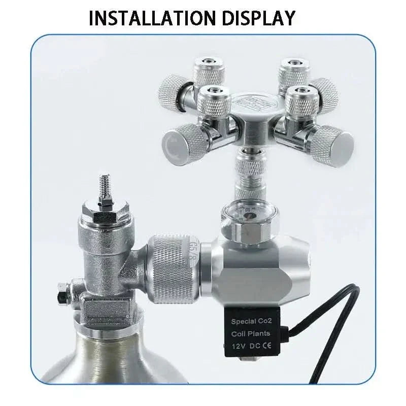 Silver CO2 regulator with multiple outlets.
