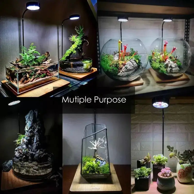 3W Desktop Usb Light with Wooden Base For Aquarium / Fish